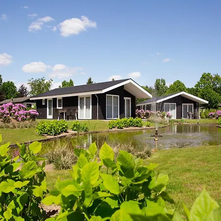 In Netherlands By Scenic Pond