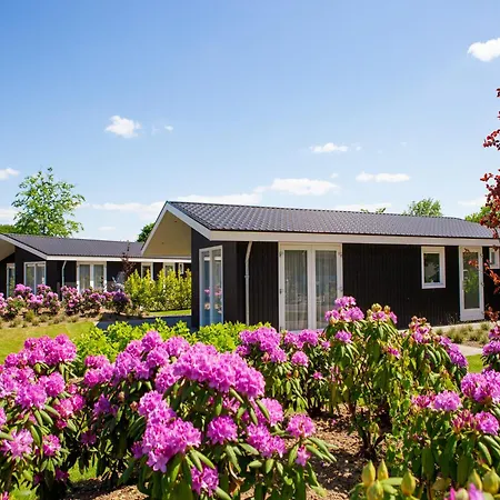 Chalet In Netherlands By Scenic Pond Veldhoven