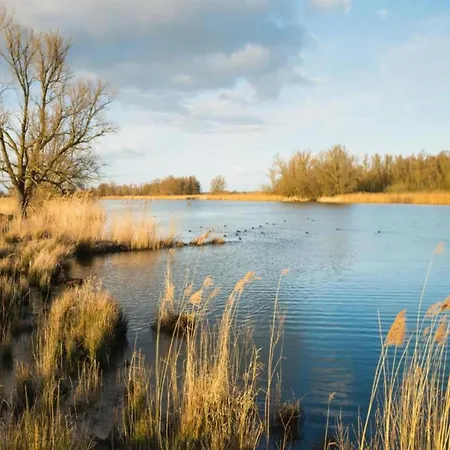 In Netherlands By Scenic Pond *