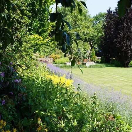 Chalet In Netherlands By Scenic Pond *
