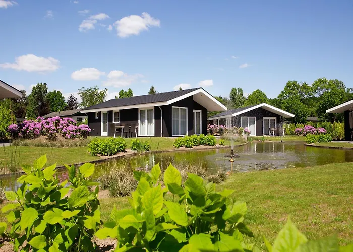 In Netherlands By Scenic Pond