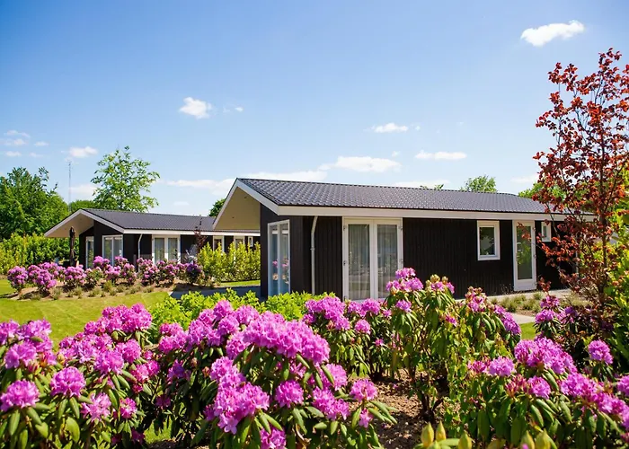 Chalet In Netherlands By Scenic Pond Veldhoven