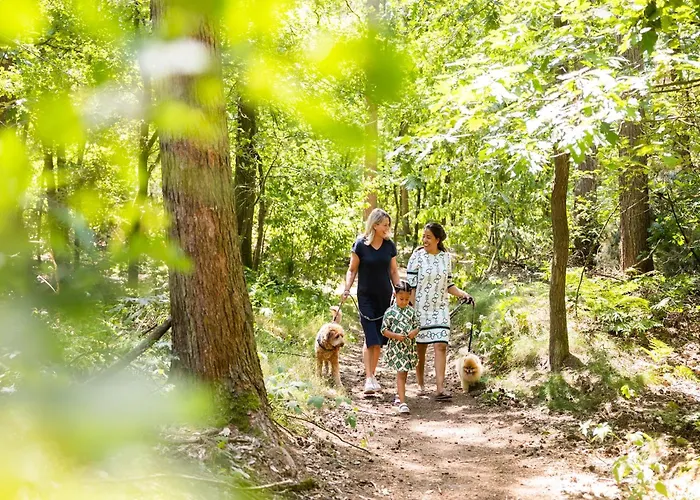 In Netherlands By Scenic Pond 샬레 벨트호벤