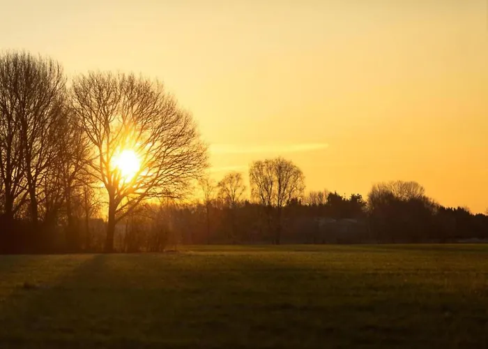 In Netherlands By Scenic Pond Chalet