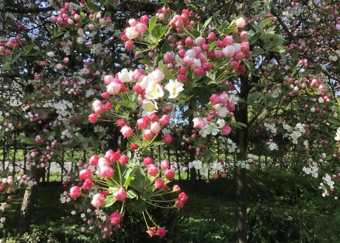 In Netherlands By Scenic Pond 샬레