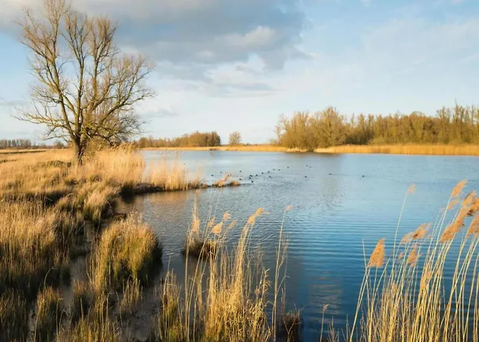 In Netherlands By Scenic Pond *