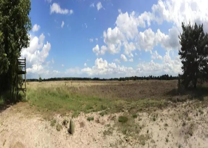 In Netherlands By Scenic Pond *