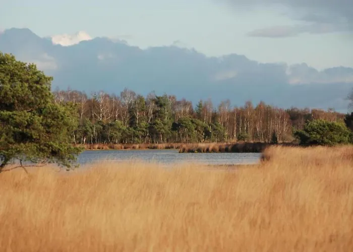 In Netherlands By Scenic Pond 샬레