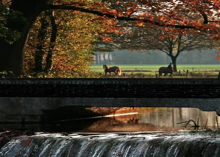 In Netherlands By Scenic Pond * Veldhoven