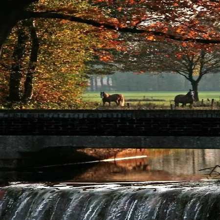 In Netherlands By Scenic Pond * Veldhoven